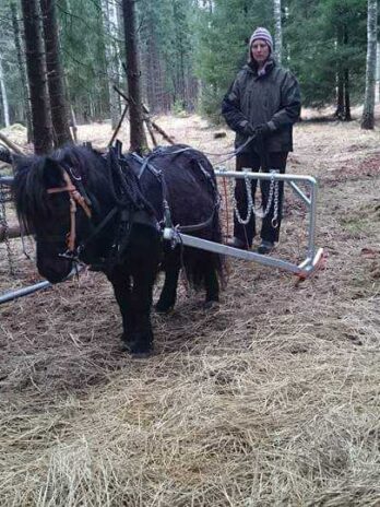 Lunningsbåge